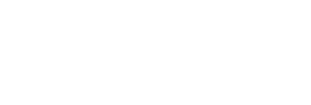 Why Not logo